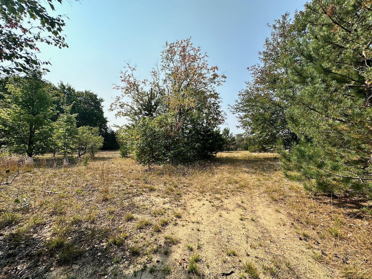 2519 Lee Derrer Road Mancelona, MI 49659 - Photo 30 of 42 Gallery Image 30