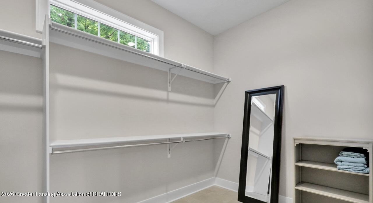 412 East Washington Street Dimondale, MI 48821 - Photo 23 of 43 Primary Closet