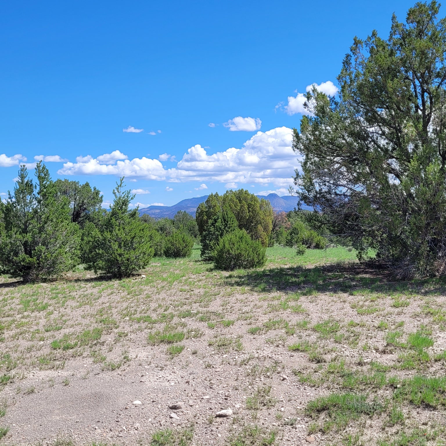 1 Frontier Trail, Unit 17 18 Datil, NM 87821 - Photo 29 of 30 Gallery Image 29