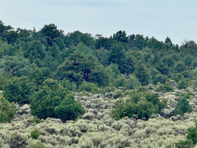 $14,500 | 38 Wild Horse Drive, San Luis, CO 81152