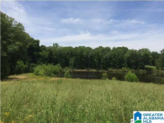 49 County Road Clanton, AL 35045 - Photo 1 of 4