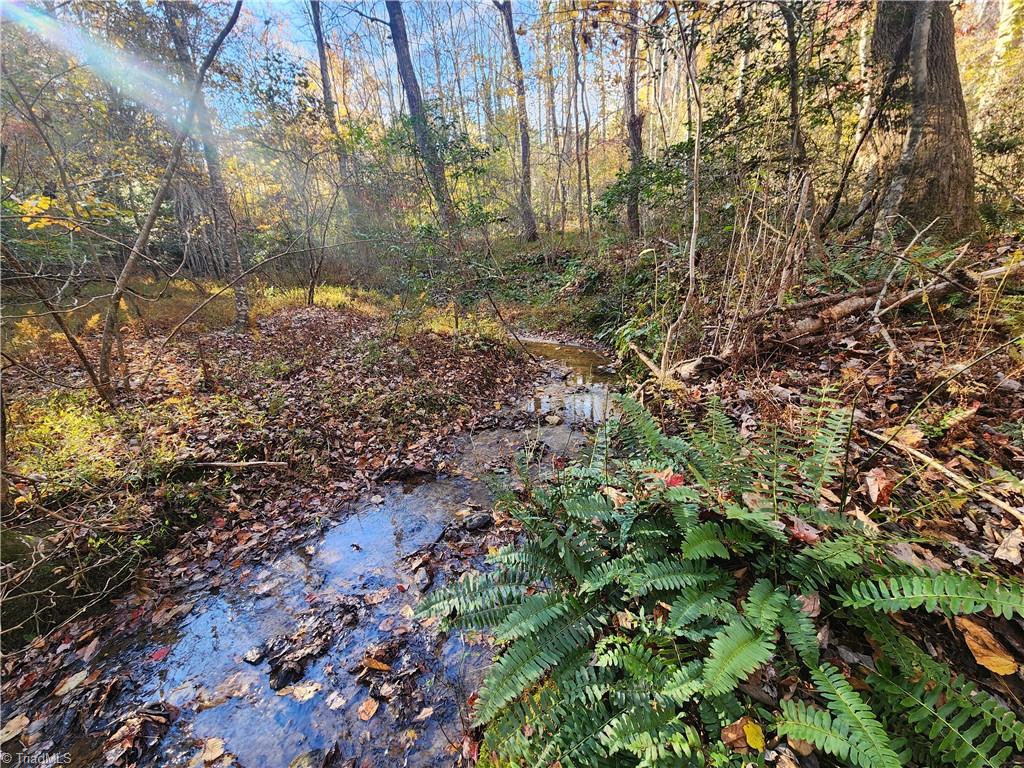 Tbd Sable Avenue Mount Airy, NC 27030 - Photo 1 of 13