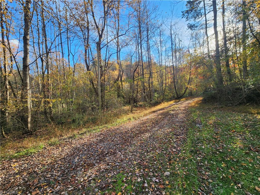 Tbd Sable Avenue Mount Airy, NC 27030 - Photo 11 of 13