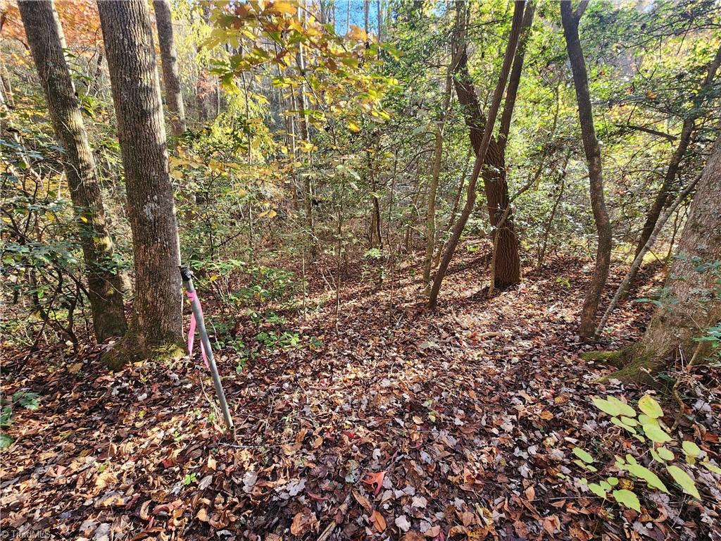 Tbd Sable Avenue Mount Airy, NC 27030 - Photo 2 of 13