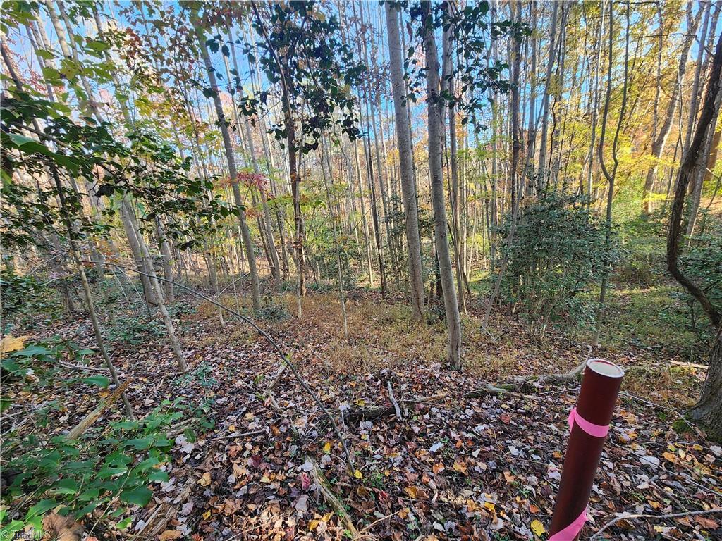 Tbd Sable Avenue Mount Airy, NC 27030 - Photo 5 of 13