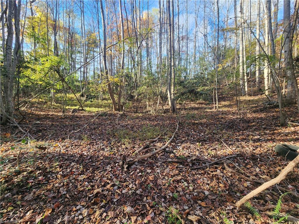 Tbd Sable Avenue Mount Airy, NC 27030 - Photo 6 of 13