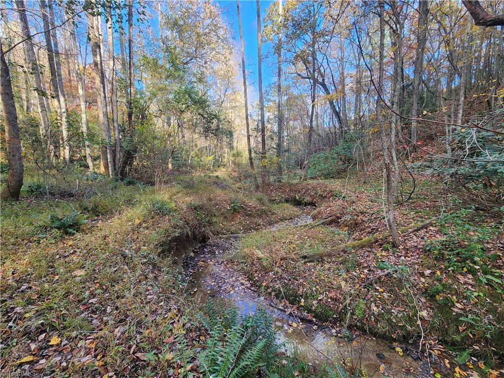 Tbd Sable Avenue Mount Airy, NC 27030 - Photo 7 of 13