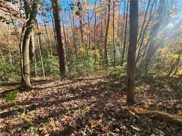 $69,900 | Tbd Sable Avenue, Mount Airy, NC 27030