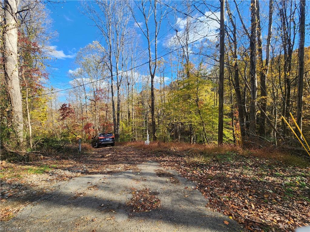 Tbd Sable Avenue Mount Airy, NC 27030 - Photo 9 of 13
