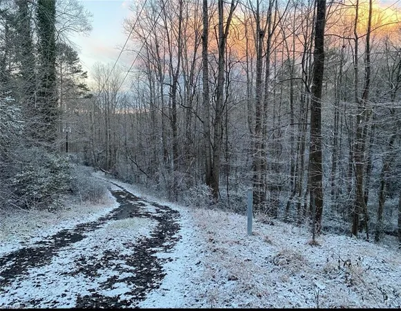 $69,900 | Tbd Sable Avenue, Mount Airy, NC 27030