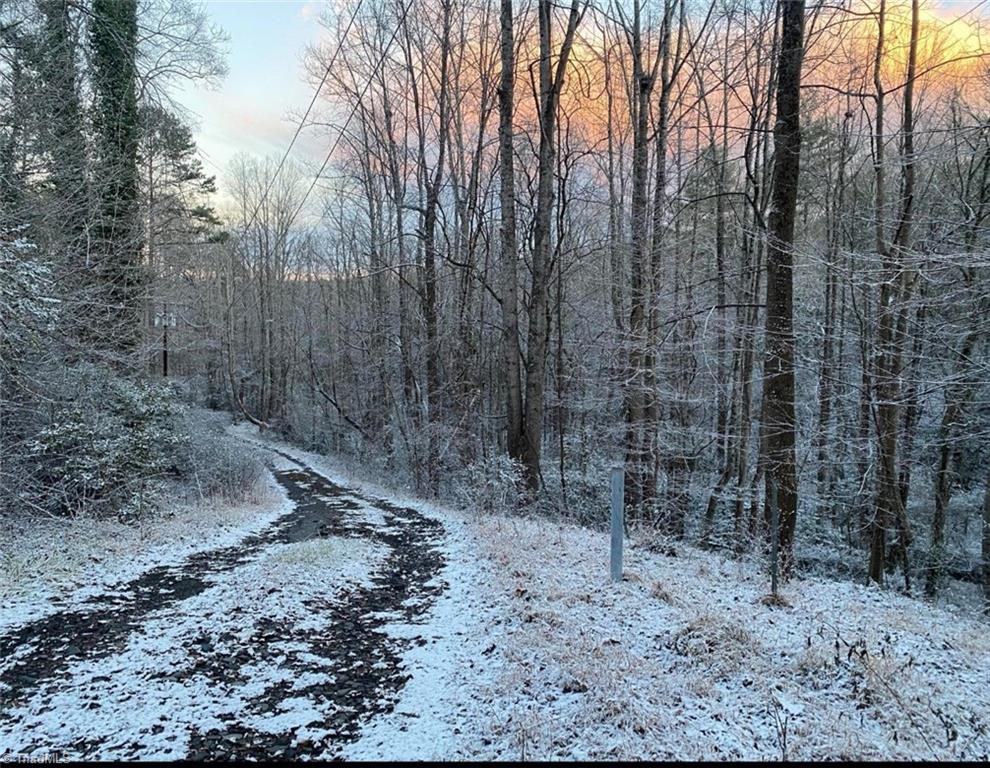 Tbd Sable Avenue Mount Airy, NC 27030 - Photo 10 of 13