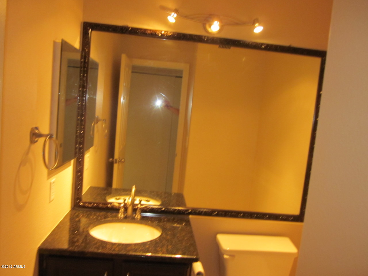 4294 East Agave Road Phoenix, AZ 85044 - Photo 6 of 20 Downstairs half bath