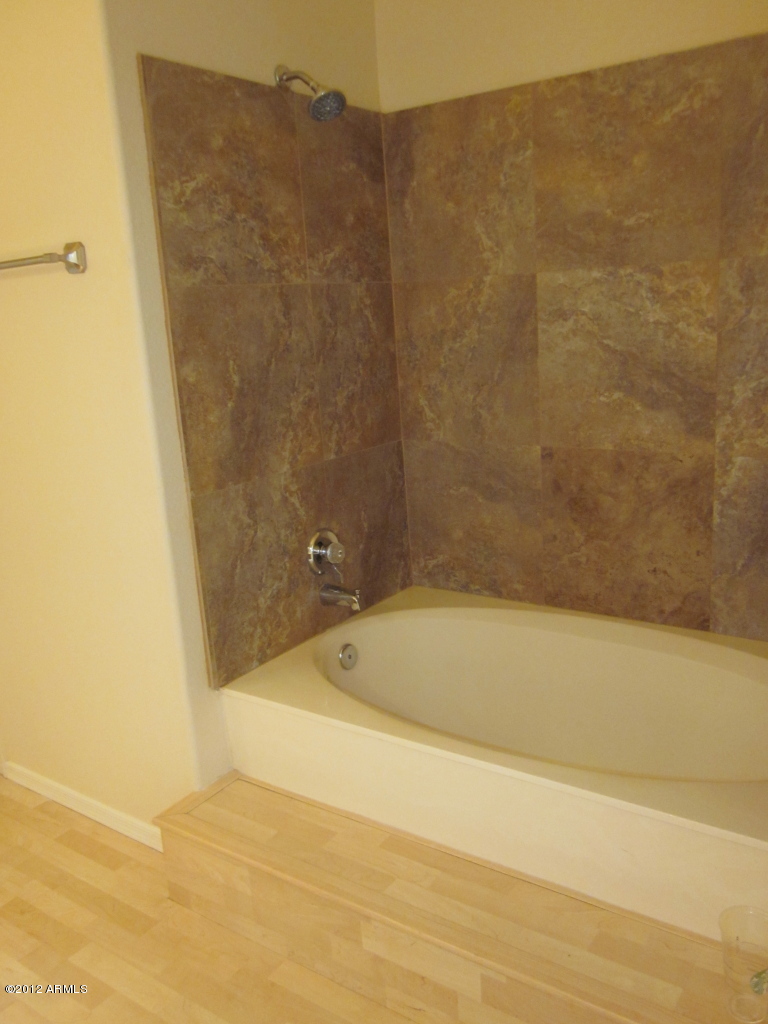 4294 East Agave Road Phoenix, AZ 85044 - Photo 10 of 20 Master bathroom tub