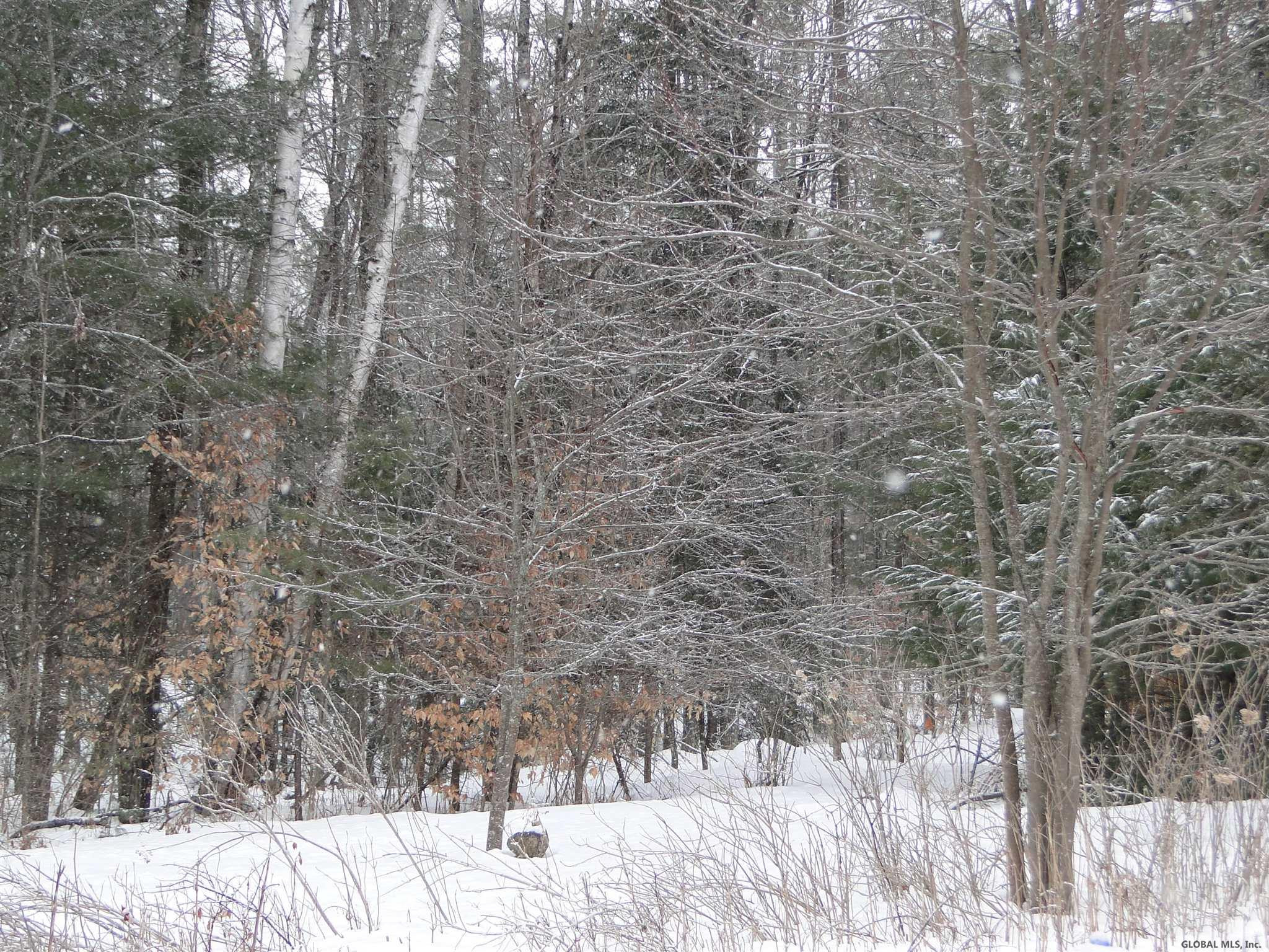 206 Bird Pond Road Chester, NY 12853 - Photo 1 of 2 Photo 1