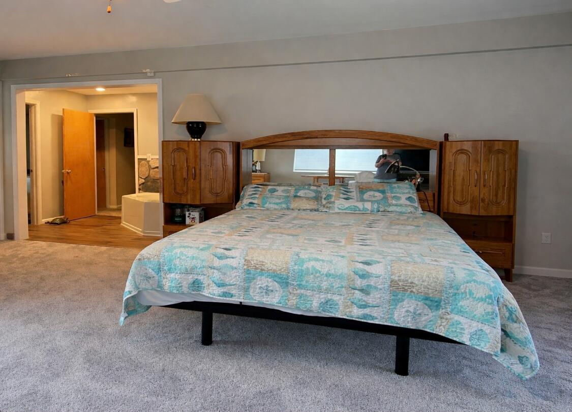 55081 Buckhorn Road Three Rivers, MI 49093 - Photo 33 of 63 Buckhorn primary bedroom 1