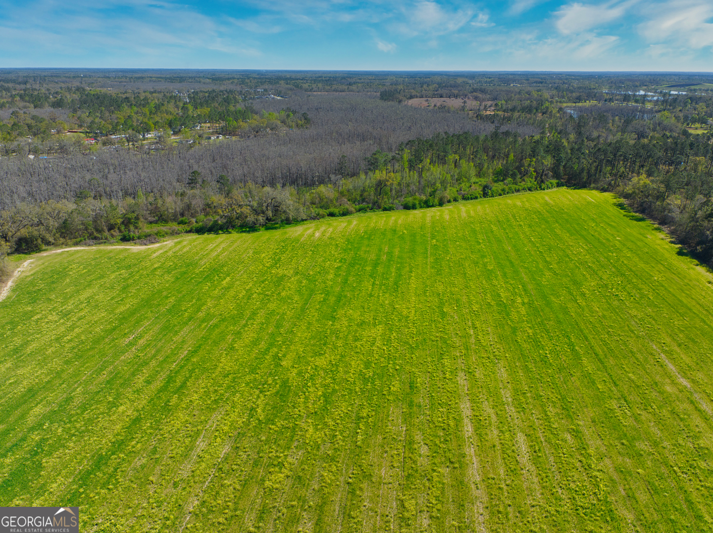 0 Johnson Road Valdosta, GA 31601 - Photo 11 of 37