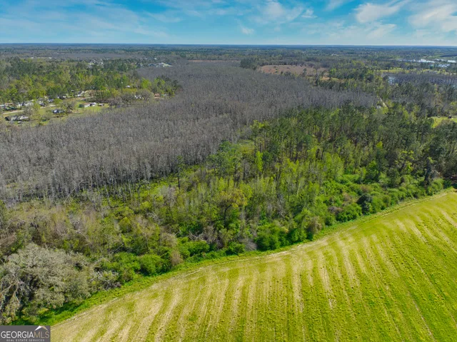 $1,000,000 | 0 Johnson Road, Valdosta, GA 31601