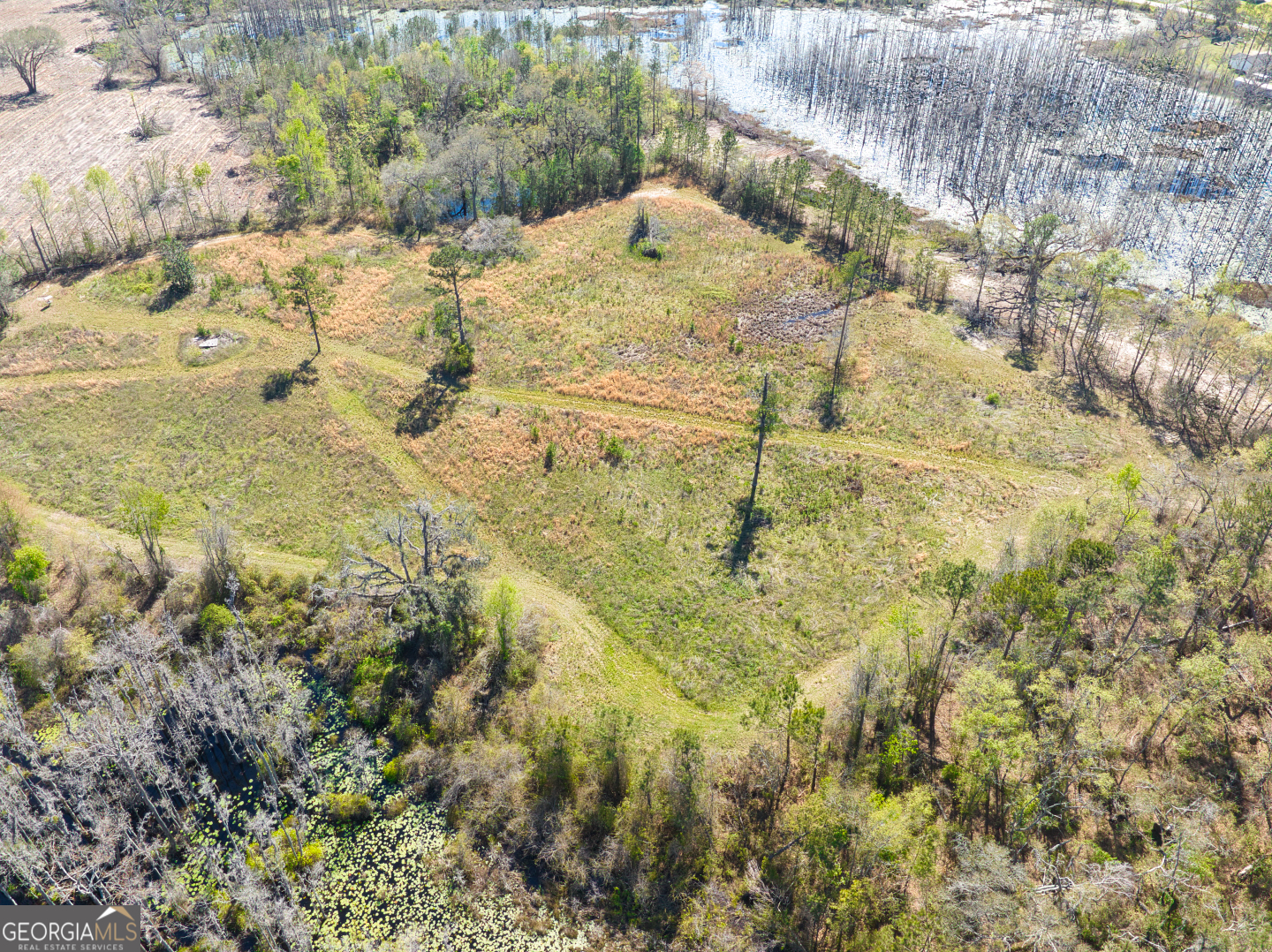 0 Johnson Road Valdosta, GA 31601 - Photo 16 of 37