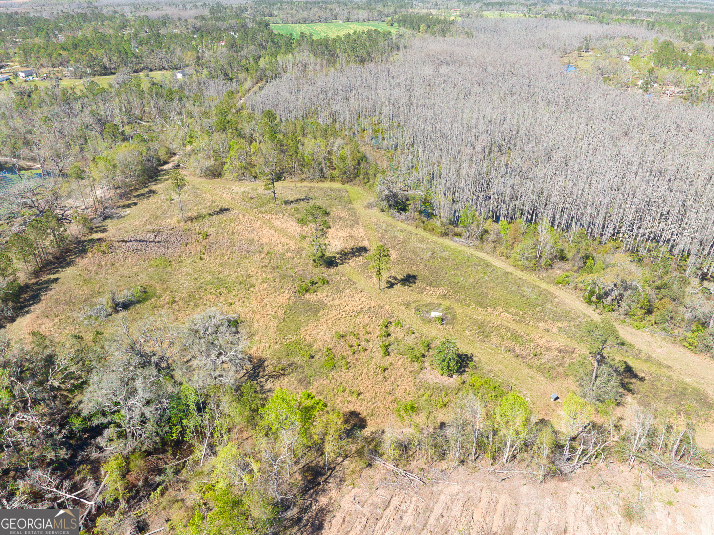0 Johnson Road Valdosta, GA 31601 - Photo 20 of 37