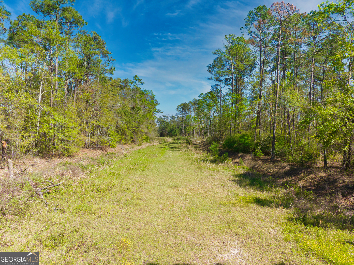 0 Johnson Road Valdosta, GA 31601 - Photo 2 of 37
