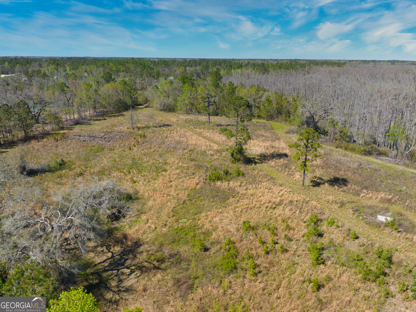 0 Johnson Road Valdosta, GA 31601 - Photo 21 of 37