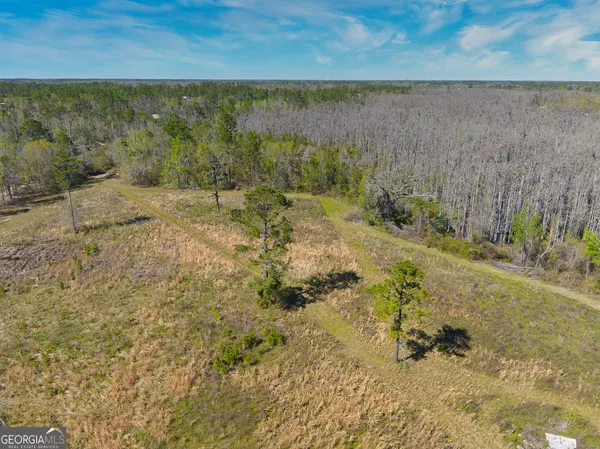 $1,000,000 | 0 Johnson Road, Valdosta, GA 31601