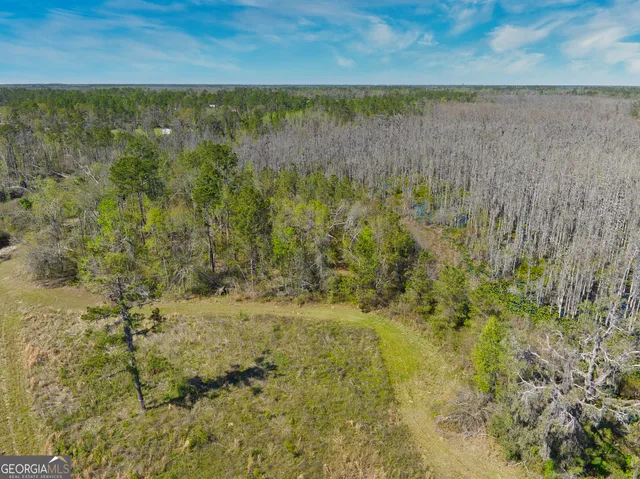 $1,000,000 | 0 Johnson Road, Valdosta, GA 31601