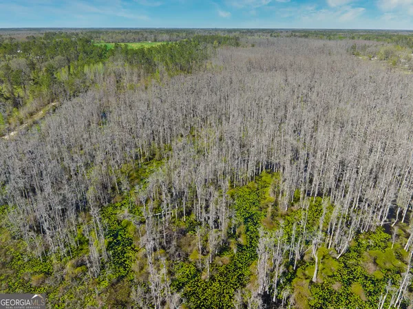 $1,000,000 | 0 Johnson Road, Valdosta, GA 31601