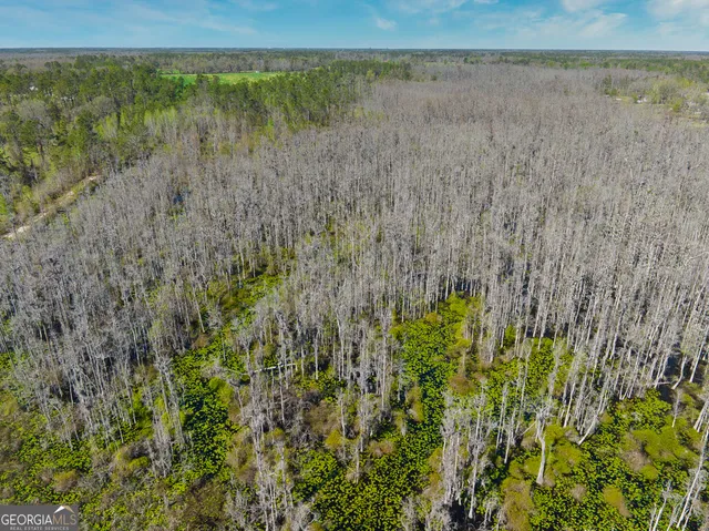 $1,000,000 | 0 Johnson Road, Valdosta, GA 31601