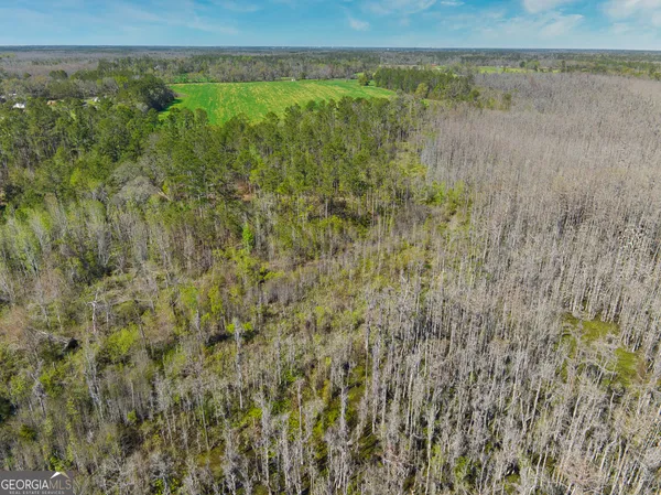 $1,000,000 | 0 Johnson Road, Valdosta, GA 31601
