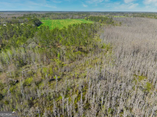 $1,000,000 | 0 Johnson Road, Valdosta, GA 31601