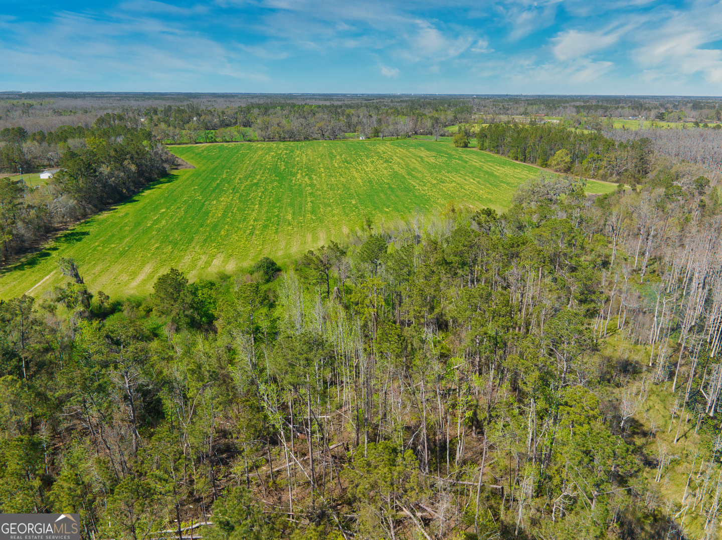 0 Johnson Road Valdosta, GA 31601 - Photo 27 of 37
