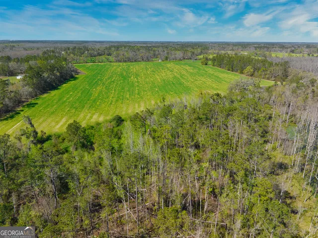 $1,000,000 | 0 Johnson Road, Valdosta, GA 31601