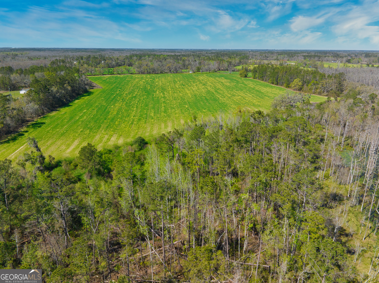 0 Johnson Road Valdosta, GA 31601 - Photo 28 of 37