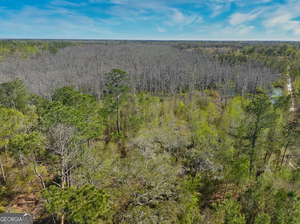 $1,000,000 | 0 Johnson Road, Valdosta, GA 31601