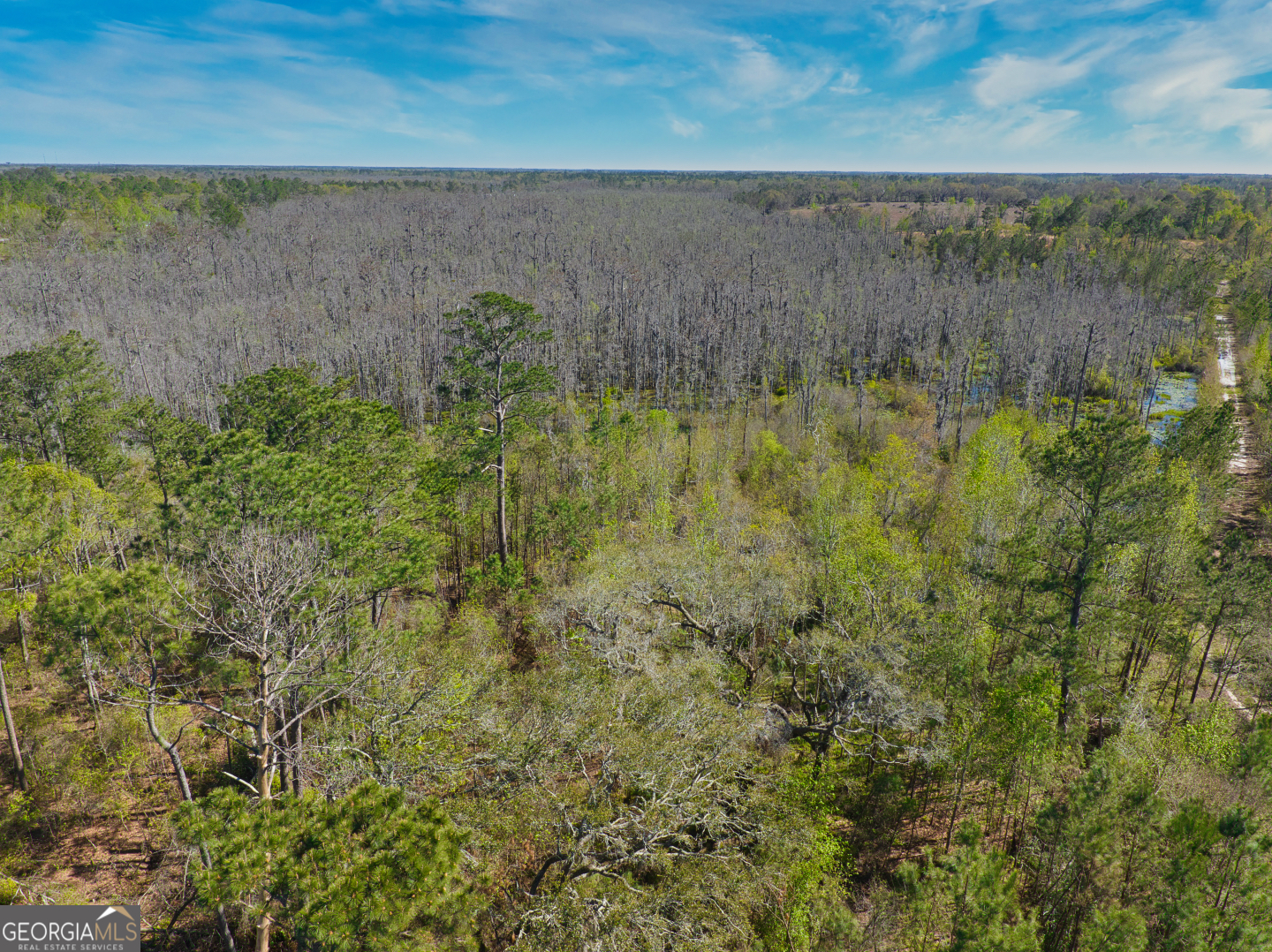 0 Johnson Road Valdosta, GA 31601 - Photo 31 of 37