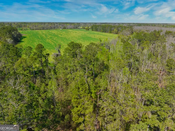 $1,000,000 | 0 Johnson Road, Valdosta, GA 31601