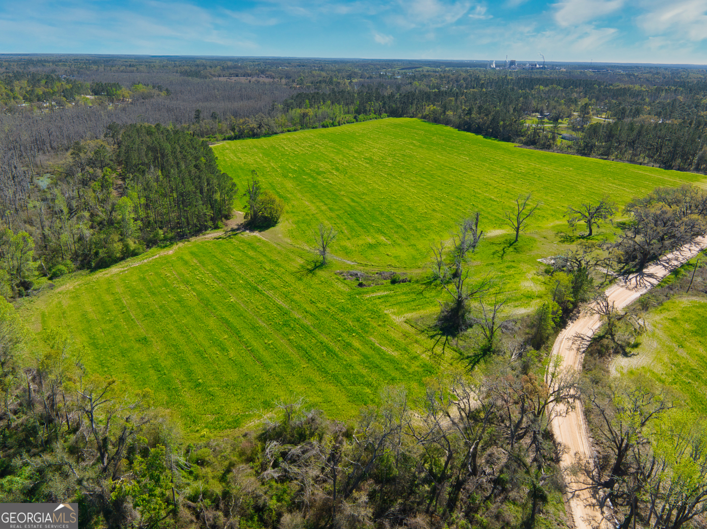 0 Johnson Road Valdosta, GA 31601 - Photo 8 of 37