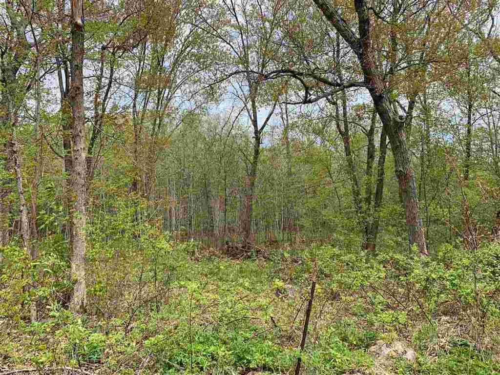 Lot 1 County Rd V Amherst, WI 54406 - Photo 1 of 1