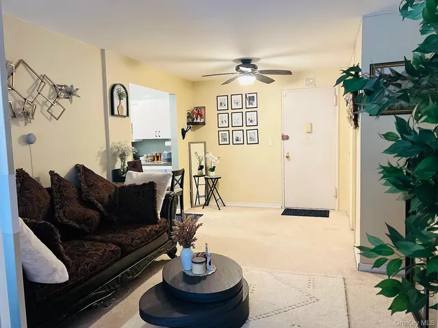 a living room with furniture and a potted plant