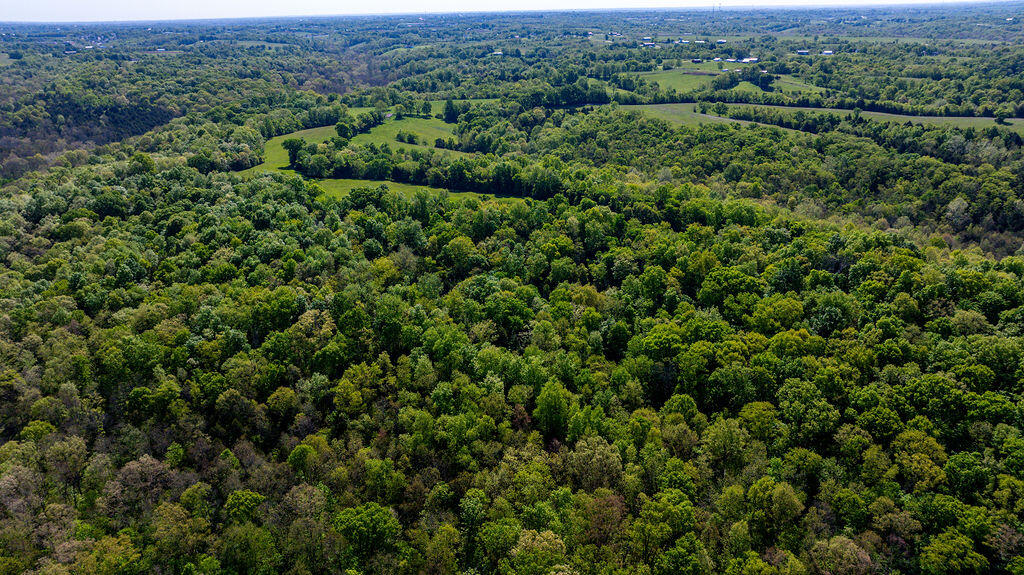 2300 Taft Highway Dry Ridge, KY 41035 - Photo 18 of 31