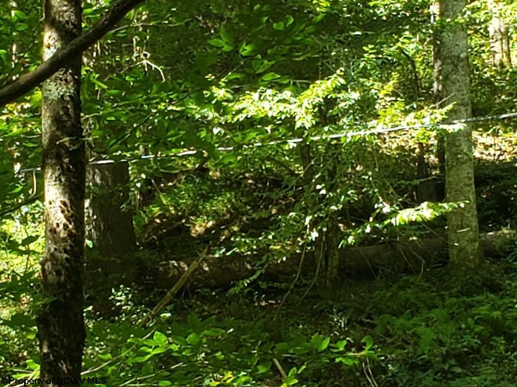 100 Steve Rosier Road Parsons, WV 26287 - Photo 21 of 21 Gallery Image 21