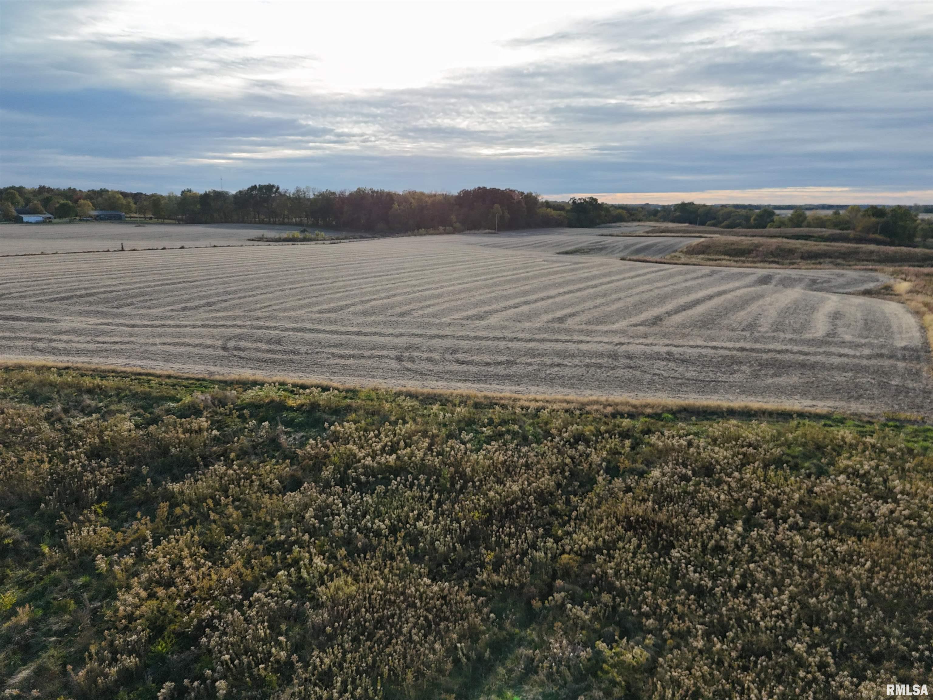 Enos Road Carlinville, IL 62626 - Photo 12 of 16