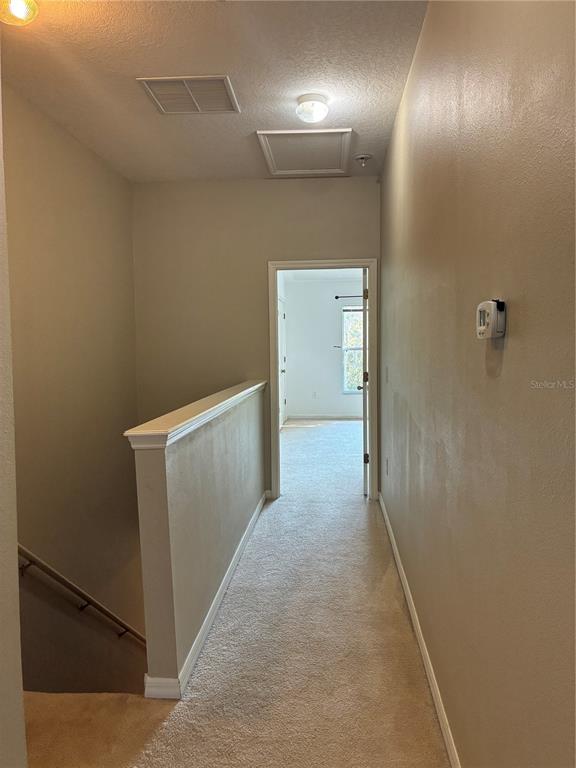 1110 Sleepy Oak Drive Wesley Chapel, FL 33543 - Photo 12 of 35 a view of hallway