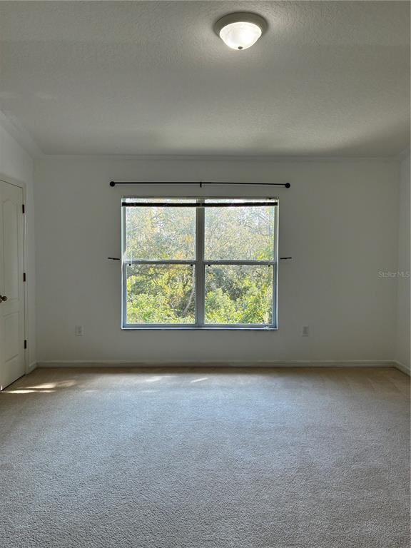 1110 Sleepy Oak Drive Wesley Chapel, FL 33543 - Photo 22 of 35