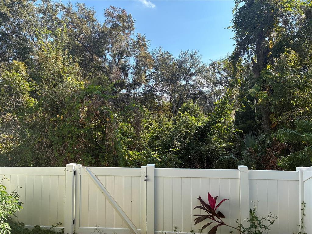 1110 Sleepy Oak Drive Wesley Chapel, FL 33543 - Photo 26 of 35