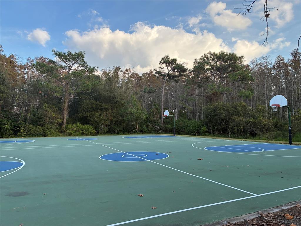 1110 Sleepy Oak Drive Wesley Chapel, FL 33543 - Photo 27 of 35 a view of a tennis court