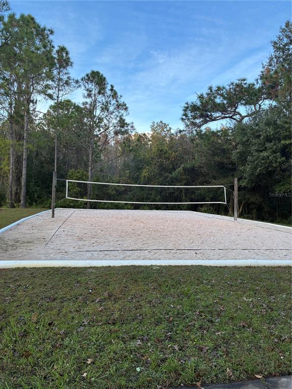 1110 Sleepy Oak Drive Wesley Chapel, FL 33543 - Photo 29 of 35 a view of outdoor space