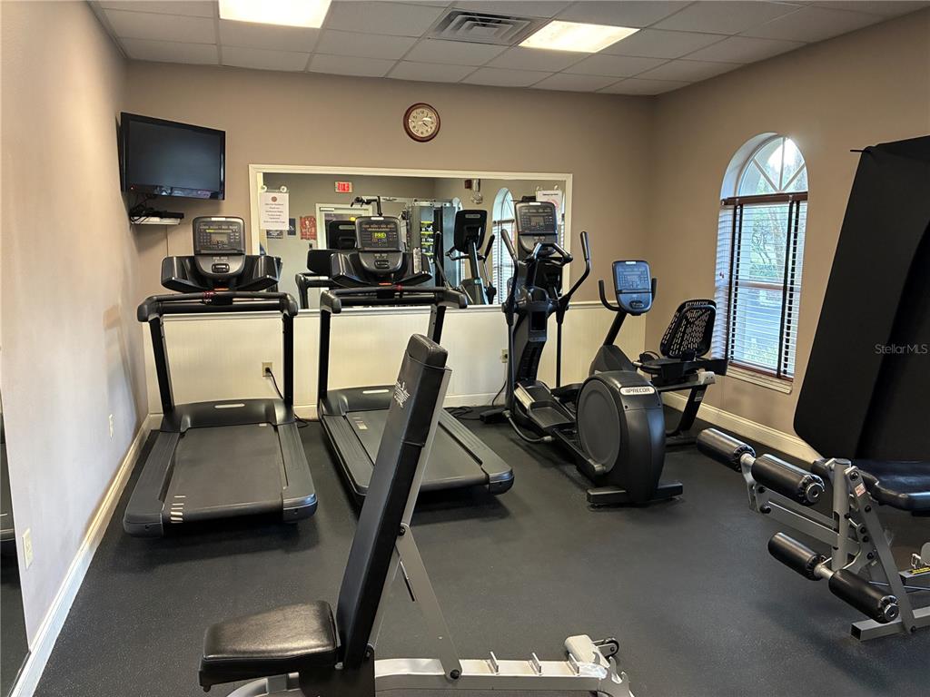 1110 Sleepy Oak Drive Wesley Chapel, FL 33543 - Photo 30 of 35 a view of a room with gym equipment