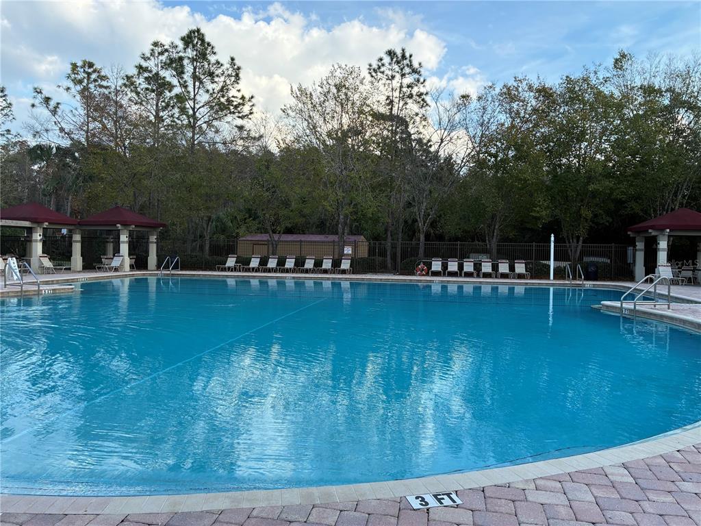 1110 Sleepy Oak Drive Wesley Chapel, FL 33543 - Photo 33 of 35 a view of a swimming pool with an outdoor space